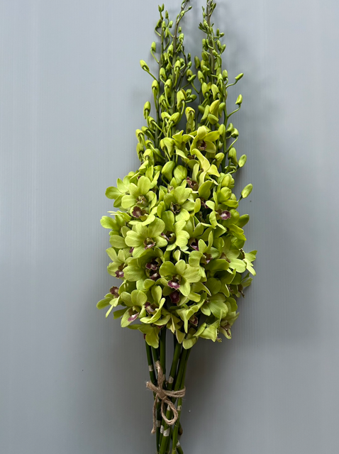 Jade image